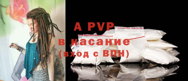 ПСИЛОЦИБИНОВЫЕ ГРИБЫ Михайлов