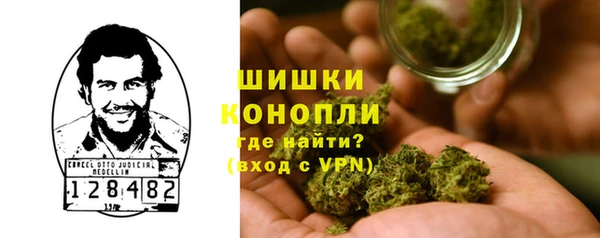ПСИЛОЦИБИНОВЫЕ ГРИБЫ Михайлов
