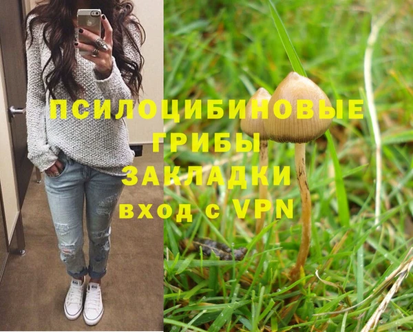 ПСИЛОЦИБИНОВЫЕ ГРИБЫ Михайлов