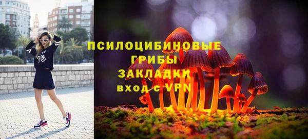 прущая мука Мегион