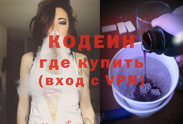 ПСИЛОЦИБИНОВЫЕ ГРИБЫ Михайлов