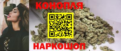 прущие грибы Апшеронск