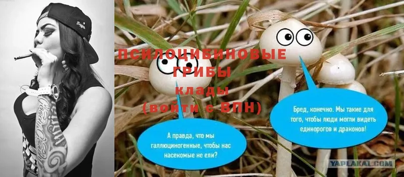 продажа наркотиков  Белорецк  Галлюциногенные грибы MAGIC MUSHROOMS 