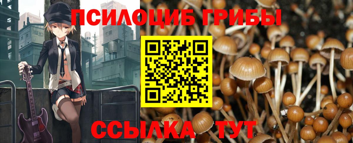 Галлюциногенные грибы Magic Shrooms Белорецк