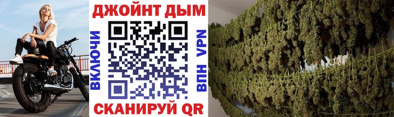 Марихуана OG Kush  купить наркоту  Белорецк 